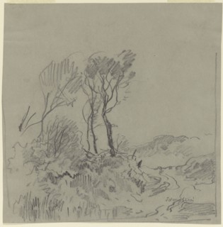 Tree Studies; Josef Wenglein, German, 1845 - 1919, Germany; n.d; Graphite; 20 x 19.8 cm, 7 7,8 x 7 13,16 in