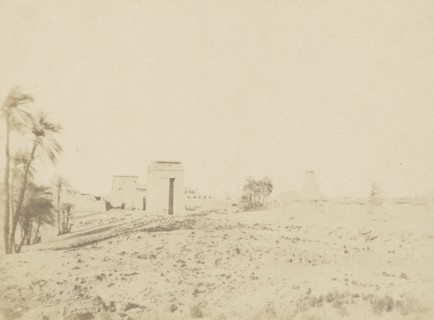 Temple and Palms, View of the Ruins, Karnak; John Beasly Greene, American, born France, 1832 - 1856, negative: Egypt; 1854