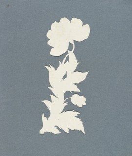Poppy; Philipp Otto Runge, German, 1777 - 1810, Germany; about 1800 - 1803; Cut-out silhouette on white paper