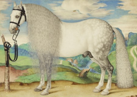A Dappled Gray Stallion Tethered in a Landscape; Prague School, late 16th century; probably Prague, Czech Republic, ex-Holy