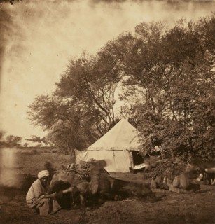 Faiyum Oasis; Egypt; about 1860 - 1880; Tinted Albumen silver print