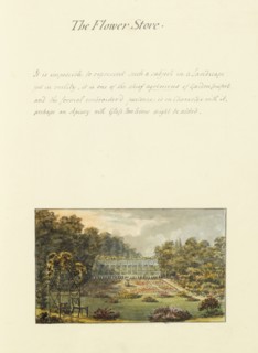 The flower store, Humphry Repton architecture and landscape designs, 1807-1813, Report concerning the gardens at Ashridge