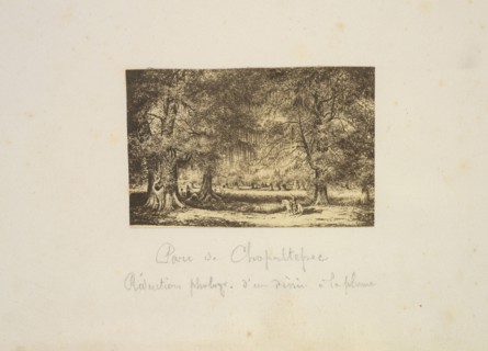 Parc du Chapultepec, Mexico album, Petitjean, André-Toussaint, cliche-verre, ca. 1864-1866, Parc du Chapultepec. Rédaction