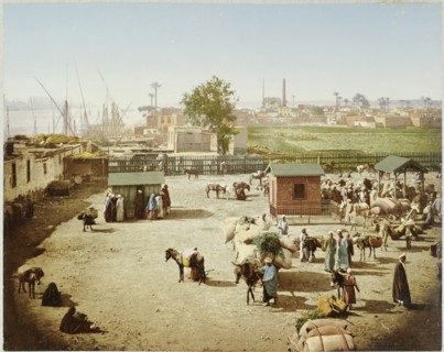 Tollyard at the bridge with livestock and agricultural products, Cairo, Egypt, octroi au pont du Nil no. 2 Basse Egypte Janvier