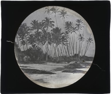 Belize?, Augustus and Alice Dixon Le Plongeon papers, 1763-1937, bulk 1860-1910, Le Plongeon, Alice D., Alice Dixon, 1851-1910