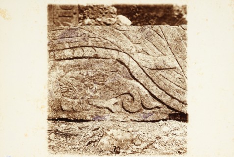 Fish relief, Platform of Venus, Chichén Itzá, Views of Maya ruins in the Yucatan, Le Plongeon, Augustus, 1826-1908, Collodion