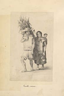 1865, Mexique, 1865, Mexique, 1865, 1864-ca. 1867, This album was assembled by Louis Falconnet, an officer in the French army