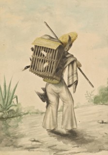 1865, Mexique, 1865, Mexique, 1865, Falconnet, Louis, 1864-ca. 1867, by Louis Falconnet, an officer in the French army