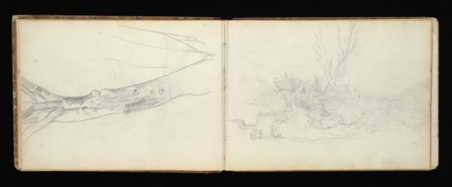 Sketchbook with manuscript notes Félix Bracquemond, Bracquemond, Félix, 1833-1914, pencil, pen, ink, and watercolor, ca. 1868