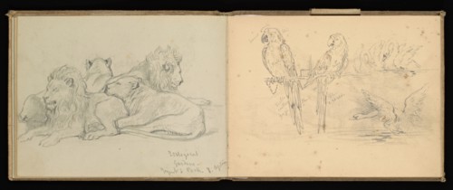 Sketchbook, Preziosi, Amadeo, 1816-1882, pencil, gray wash, white heightening, 1875, The sketchbook by Maltese artist Preziosi