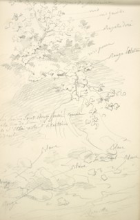 Sketchbook Carle Vernet, 1758-1836, pencil, ink, watercolor, studies of hunt scenes, horses, figures, and notes about the colors