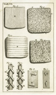 Tab. VI, Steph. Blancardi Anatomia reformata, sive, Concinna corporis humani dissectio, ad neotericorum mentem adornata