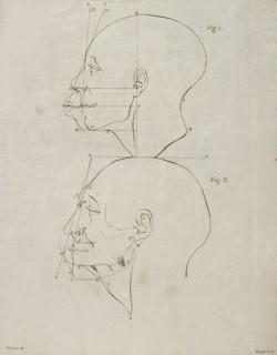 Tab. VI, Dissertation sur les variétés naturelles qui caractérisent la physionomie des hommes des divers climats