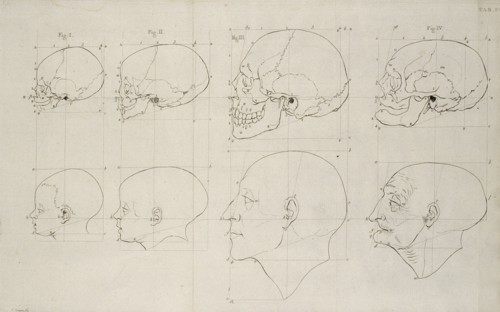 Tab. IV, Dissertation sur les variétés naturelles qui caractérisent la physionomie des hommes des divers climats