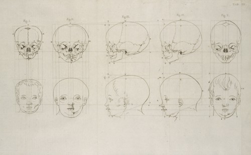 Tab. III, Dissertation sur les variétés naturelles qui caractérisent la physionomie des hommes des divers climats