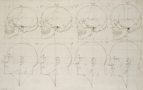 Tab. II, Dissertation sur les variétés naturelles qui caractérisent la physionomie des hommes des divers climats