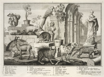 Small Herculaneum woman set in garden with exotic animals, Representation des animaux de la menagerie de S.A.S. Monseigneur