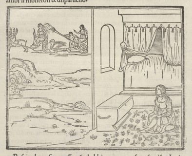 Interior View of Seated Woman, Exterior View of Women Travelling by Carts, La Hypnerotomachia di Poliphilo: cioè pvgna d'amore