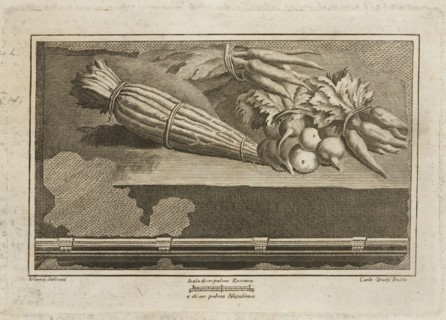 Tavola VIII. 52, Delle antichità di Ercolano, Baiardi, Ottavio Antonio, 1694-1764, Engraving, c. 1757-1792, Plate 8