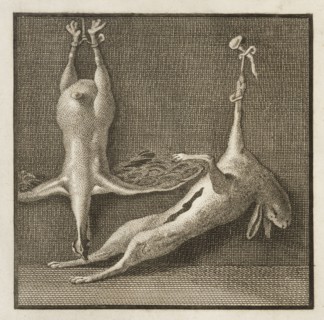 Plate 57, detail of top left, Delle antichità di Ercolano, Baiardi, Ottavio Antonio, 1694-1764, Engraving, c. 1757-1792