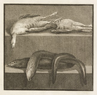 Plate 57, detail of bottom right, Delle antichità di Ercolano, Baiardi, Ottavio Antonio, 1694-1764, Engraving, c. 1757-1792