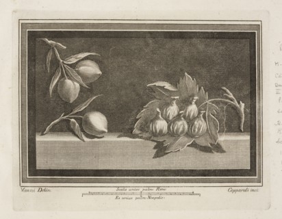 Tavola II. 11, Delle antichità di Ercolano, Baiardi, Ottavio Antonio, 1694-1764, Engraving, c. 1757-1792, Plate 2, from volume 2