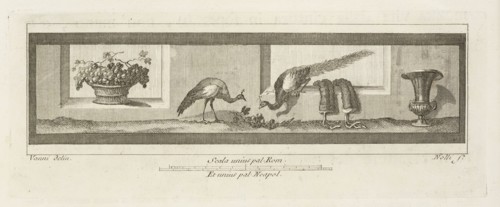 Tavola XIX, Delle antichità di Ercolano, Baiardi, Ottavio Antonio, 1694-1764, Engraving, 1757-1792, Plate 19