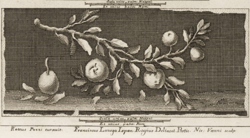Delle antichità di Ercolano, Baiardi, Ottavio Antonio, 1694-1764, Engraving, 1757-1792, at lower center of page 73