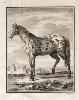 Histoire naturelle, générale et particulière: avec la description du cabinet de roi, Histoire naturelle, générale