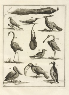 Plate 40, Le cabinet de la Bibliotheque de Sainte Genevieve: divisé en deux parties: contenant les antiquitez de la réligion