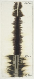 Plate 5, A. and B.: Brass, Beschreibung einer ungemein grossen Elektrisier-Maschine und der damit im Teylerschen Museum