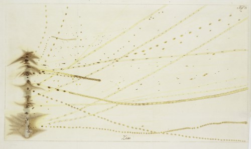 Plate 2: Tin, Beschreibung einer ungemein grossen Elektrisier-Maschine und der damit im Teylerschen Museum zu Haarlem