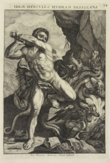 Idem Hercvles hydram debellans 34, Hercvles Ethnicorvm ex variis antiqvitatvm reliqviis delineatvs additis in fine modernis