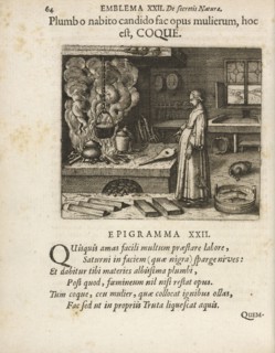 Emblema XXII: Plumb o nabito candido fac opus mulierum, hoc est, COQUE. Michaelis Majeri, Secretioris naturae secretorum