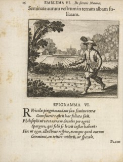 Emblema VI: Seminate aurum vestrum in terram albam foliatam. Michaelis Majeri, Secretioris naturae secretorum scrutinium