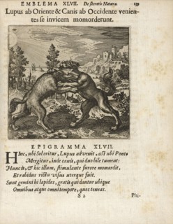 Emblema XLVII: Lupus ab Oriente and Canis ab Occidente venientes se invicem momorderunt. Michaelis Majeri, Secretioris naturae