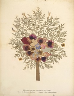 Album: flowers and pictures of the Holy Land, Boulos Meo, 1890s