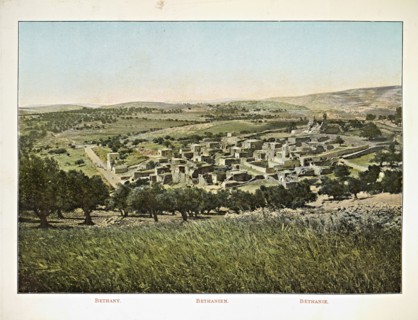 Album: flowers and pictures of the Holy Land, Boulos Meo, 1890s