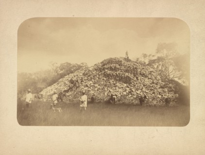 Man standing on top of the mound at Mayapan, Augustus and Alice Dixon Le Plongeon papers, 1763-1937, bulk 1860-1910, Le Plongeon