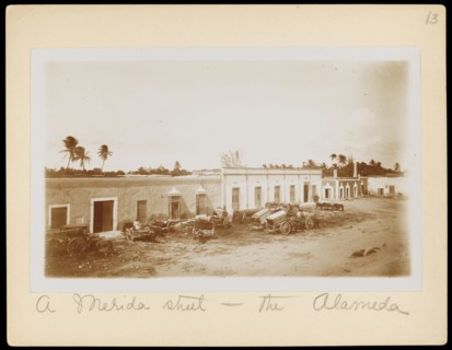 A Merida street - the Alameda, Augustus and Alice Dixon Le Plongeon papers, 1763-1937, bulk 1860-1910, Le Plongeon, Augustus