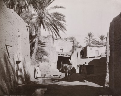 Views of Algeria, Le Roux, A., albumen, ca. 1880, views of urban and provincial Algerian sites including: Algiers, Bône