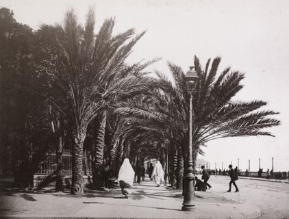 Views of Algeria, Le Roux, A., albumen, ca. 1880, views of urban and provincial Algerian sites including: Algiers, Bône