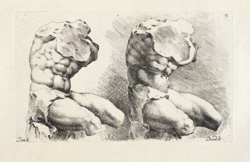 Belvedere torso, two 3/4 front views, Signorvm vetervm icones, Bisschop, Jan de, 1628-1671, Doncker, Pieter Paul, Doudijns