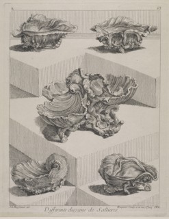 Differents desseins de sallieres, Ornament Prints Collection, Oeuvre de Juste Aurele Meissonnier peintre sculpteur architecte