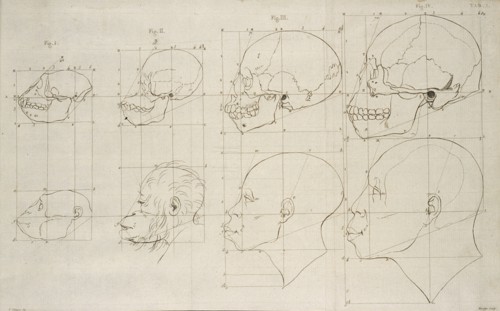 Tab. I, Dissertation sur les variétés naturelles qui caractérisent la physionomie des hommes des divers climats et des différens