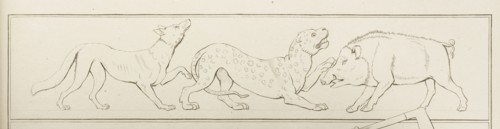 Plate 31. Collection of engravings from ancient vases mostly of pure Greek workmanship discovered in sepulchres in the kingdom