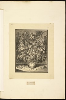 Catalogue raisonne et figure de ses tableaux, La Galerie Électorale de Düsseldorf, Pigage, Nicolas de, 1723-1796, Red crayon