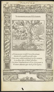 In momentaneam felicitatem, Emblemata, Alciati, Andrea, 1492-1550, Unknown, Woodcut, 1551
