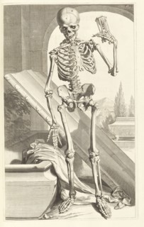 Octuagesimaseptima tabula, Godefridi Bidloo, medicinae doctoris and chirurgi, Anatomia humani corporis: centum and quinque
