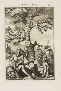 Genealogia ab Adam usque ad Abram, Athanasii Kircheri è Soc. Jesu Arca Noë, in tres libros digesta: quorum I, De rebus quae ante